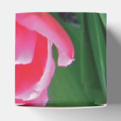 ピンクエレガントのチューリップ結婚ズ フェイバーボックス (上部)