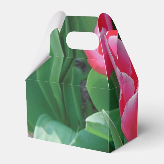 ピンクエレガントのチューリップ結婚ズ フェイバーボックス (裏面サイド)