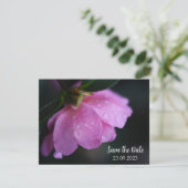 ピンクエレガントのバラが露で閉じ込め日付を保存 シーズンカード (スタンド正面)