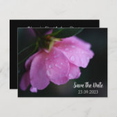 ピンクエレガントのバラが露で閉じ込め日付を保存 シーズンカード (正面/裏面)