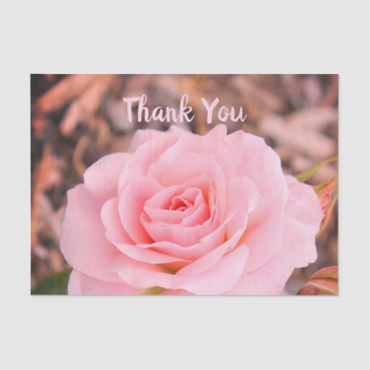 ピンクエレガントのバラ 薄葉紙 (正面)