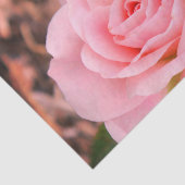ピンクエレガントのバラ 薄葉紙 (詳細)