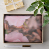 ピンクエレガントのバラ 薄葉紙 (ギフト)