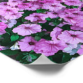 ピンクエレガントのフローラデイジーアクリルのアートワーク | ポスター (角)