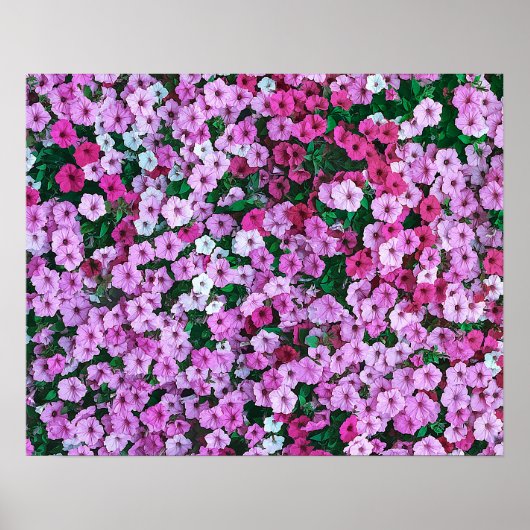 ピンクエレガントのフローラデイジーアクリルのアートワーク | ポスター (正面)