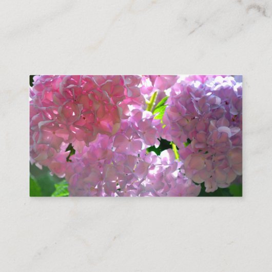 ピンクエレガントのボホ花模様花アジサイ エンクロージャーカード (裏面)