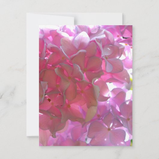 ピンクエレガントのボホ花模様花アジサイ サンキューカード (裏面)
