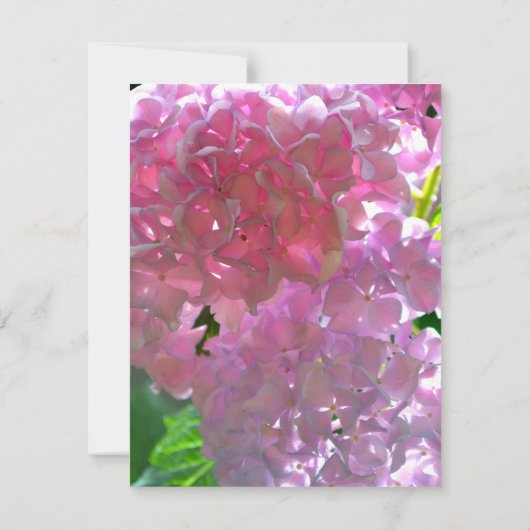 ピンクエレガントのボホ花模様花アジサイ サンキューカード (裏面)