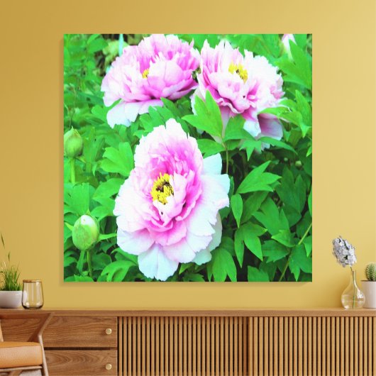 ピンクエレガントの木の牡丹の花と黄色の中心 キャンバスプリント (インサイチュ (リビング))