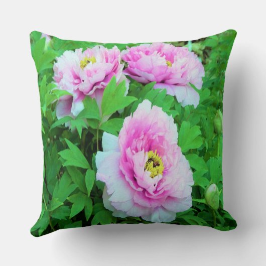 ピンクエレガントの木の牡丹の花と黄色の中心 クッション (裏面)