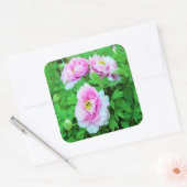 ピンクエレガントの木の牡丹の花と黄色の中心 スクエアシール (封筒)