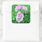 ピンクエレガントの木の牡丹の花と黄色の中心 スクエアシール (バッグ)