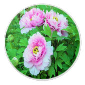 ピンクエレガントの木の牡丹の花と黄色の中心 セラミックノブ (正面)