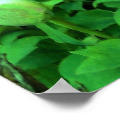 ピンクエレガントの木の牡丹の花と黄色の中心 ポスター (角)