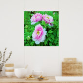 ピンクエレガントの木の牡丹の花と黄色の中心 ポスター (キッチン)