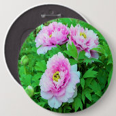 ピンクエレガントの木の牡丹の花と黄色の中心 缶バッジ (正面&裏面)