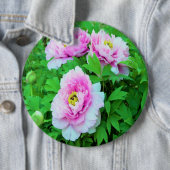 ピンクエレガントの木の牡丹の花と黄色の中心 缶バッジ (インサイチュ)