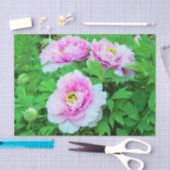 ピンクエレガントの木の牡丹の花と黄色の中心 薄葉紙 (クラフト)