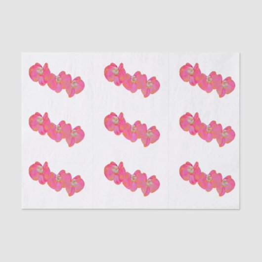 ピンクエレガントの水色のラン熱帯フローラ 薄葉紙 (正面)
