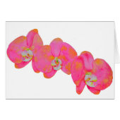 ピンクエレガントの水色の蘭 (正面横)