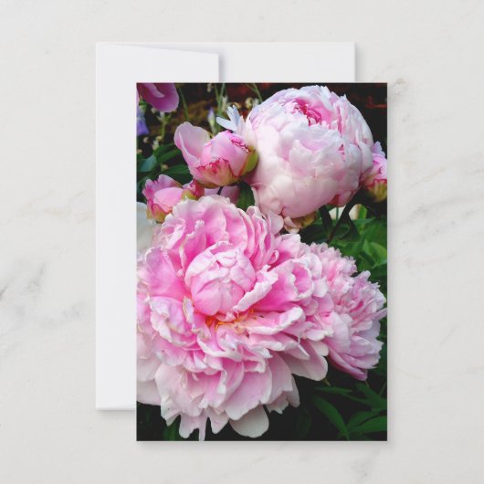 ピンクエレガントの白いフローラ結婚牡丹 招待状 (裏面)