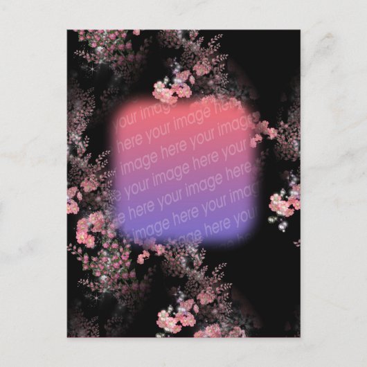 ピンクエレガントの花の写真はがき ポストカード (正面)