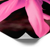 ピンクエレガントの花ひまわりピンクの花 ポスター (角)