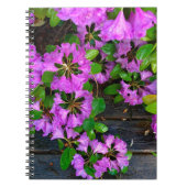 ピンクエレガントの花模様ピンクのツツジのピンクの花 ノートブック (正面)