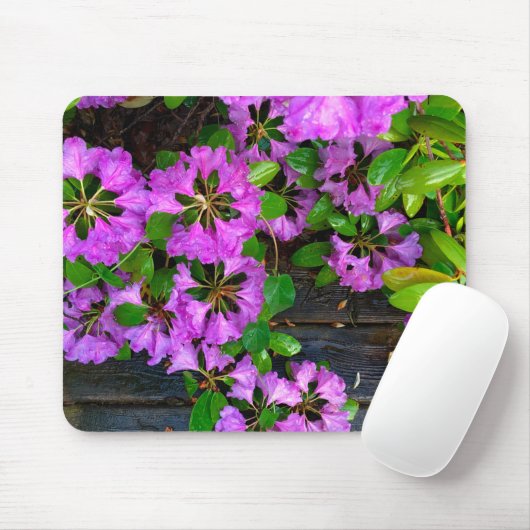 ピンクエレガントの花模様ピンクのツツジのピンクの花 マウスパッド (マウス)