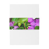 ピンクエレガントの花模様ピンクのツツジのピンクの花 招待状ベリーバンド (裏面例)