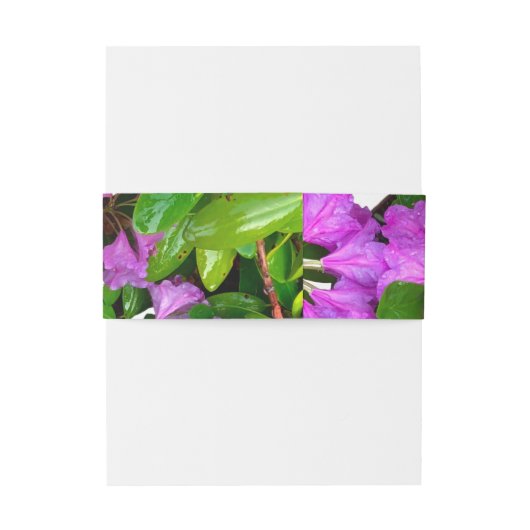 ピンクエレガントの花模様ピンクのツツジのピンクの花 招待状ベリーバンド (裏面例)