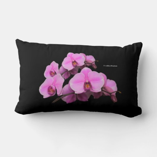 ピンクエレガントの蘭ファレノプシスをブラック ランバークッション (裏面)