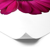 ピンクエレガントガーベラデイジーポスター ポスター (角)