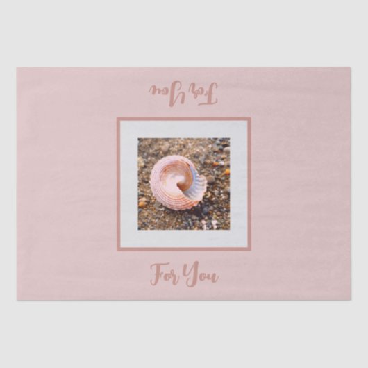 ピンクエレガントギフトティッシュペーパーのシーシェル 薄葉紙 (正面)