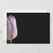 ピンクエレガントチューリップの葬儀 案内状 (裏面)