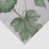 ピンクエレガントハミングバードウォーターティッシュペーパー 薄葉紙 (詳細)