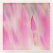 ピンクエレガントフラワープリントコースター ガラスコースター (正面)