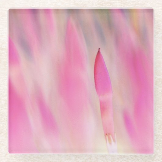 ピンクエレガントフラワープリントコースター ガラスコースター (正面)