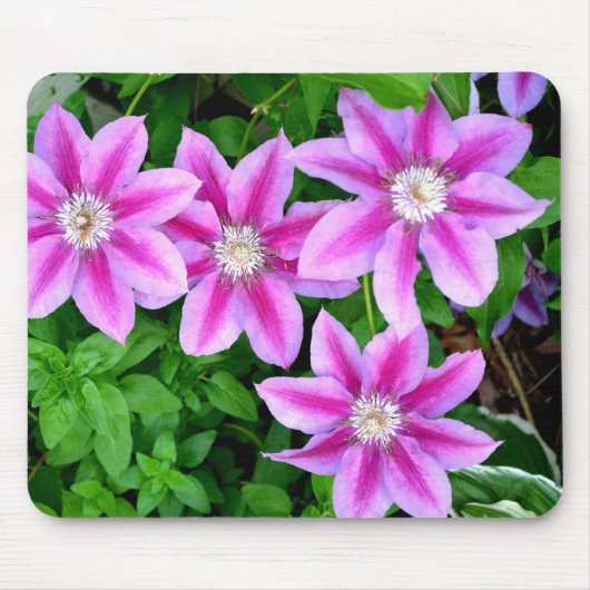 ピンクエレガントフローラグリーン植物学 マウスパッド (正面)