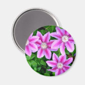 ピンクエレガントフローラグリーン植物学 マグネット (正面/裏面)