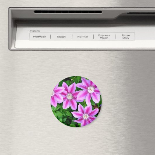 ピンクエレガントフローラグリーン植物学 マグネット (インサイチュ (食洗機))