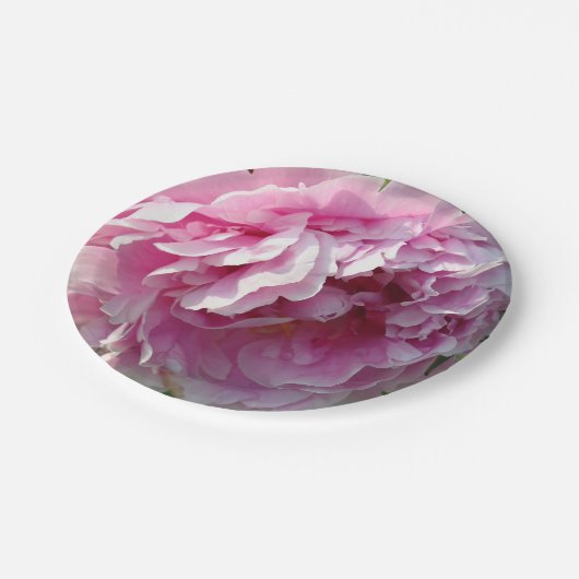 ピンクエレガントフローラピンクの花ピンク牡丹 ペーパープレート (アングル)