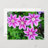 ピンクエレガントフローラボーホグリーン ポストカード (正面/裏面)