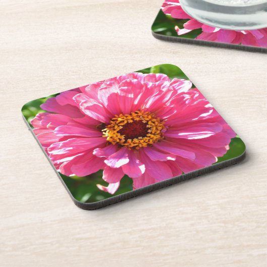 ピンクエレガントフローラレトロピンクデイジー コースター (左側)
