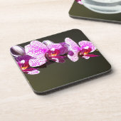 ピンクエレガントフローラ熱帯性ピンク色のラン コースター (左側)