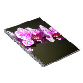 ピンクエレガントフローラ熱帯性ピンク色のラン ノートブック (右側)