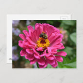 ピンクエレガントフローラ花ムームデイジーミツバチ ポストカード (正面/裏面)