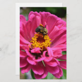 ピンクエレガントフローラ花ムームデイジーミツバチ 便箋 (正面/裏面)