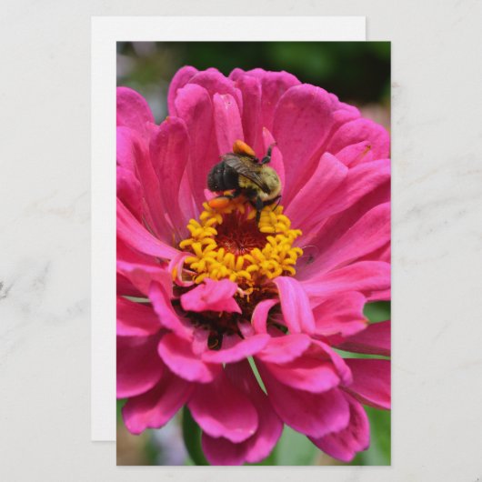 ピンクエレガントフローラ花ムームデイジーミツバチ 便箋 (正面/裏面)