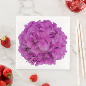 ピンクエレガントマゼンタフローラアジサイバラ (インサイチュ)